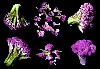 Image showing Collection of Perfect Raw Purple Cauliflowers