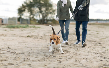 Image showing couple with happy beagle dog on autumn beach