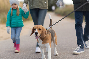 Image showing family walking with dog in autumn