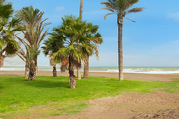Image showing Beautiful landscape on the beach