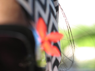 Image showing orange flower close-up