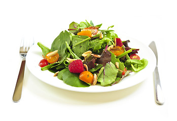 Image showing Plate of green salad on white background