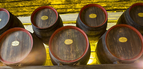 Image showing Wine Wooden barrels