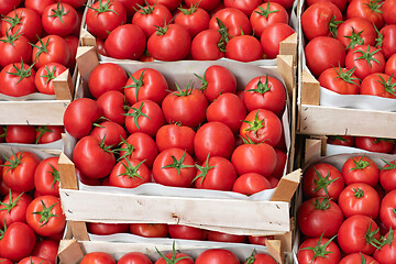 Image showing Italian Tomato