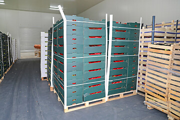 Image showing Pallets with Boxes