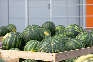 Image showing Watermelons Market