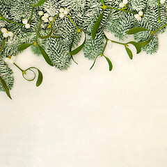 Image showing Mistletoe and Fir Traditional Winter Border 