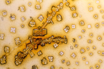 Image showing microcrystals in dried dyestuff