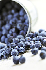 Image showing Blueberries