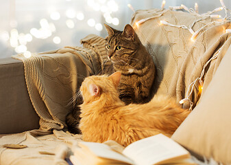 Image showing two cats lying on sofa at home