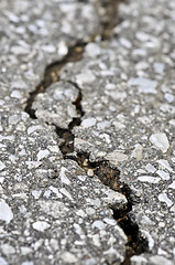 Image showing Crack in asphalt