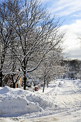 Image showing Winter street