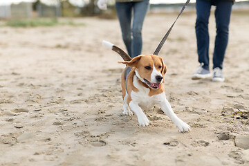 Image showing couple with happy beagle dog on autumn beach