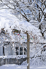 Image showing Front yard of a house in winter