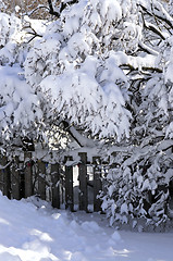 Image showing House fence in winter