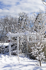 Image showing Front yard of a house in winter