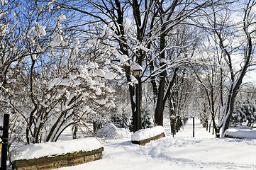 Image showing Winter park