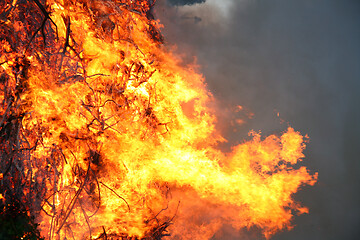 Image showing Detail of flames in an outdoor fire in Denmark