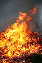 Image showing Detail of flames in an outdoor fire in Denmark