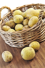 Image showing Raw potatoes