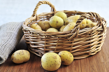 Image showing Raw potatoes