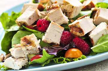 Image showing Green salad with grilled chicken