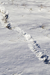 Image showing Footprints of a man