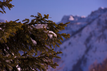 Image showing winter sunrise