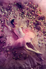 Image showing Young woman in pink ballet tutu surrounded by flowers