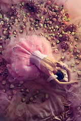 Image showing Young woman in pink ballet tutu surrounded by flowers