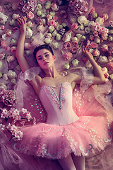 Image showing Young woman in pink ballet tutu surrounded by flowers