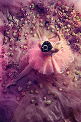 Image showing Young woman in pink ballet tutu surrounded by flowers