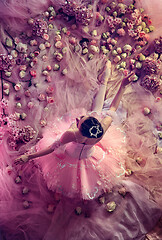 Image showing Young woman in pink ballet tutu surrounded by flowers