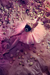 Image showing Young woman in pink ballet tutu surrounded by flowers