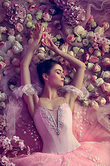 Image showing Young woman in pink ballet tutu surrounded by flowers