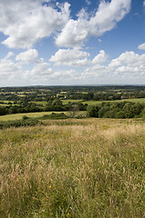 Image showing Rrural scene