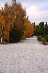 Image showing Autumn alley