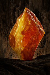 Image showing Beauty of natural raw amber. A piece of yellow opaque natural amber on large piece of dark stoned wood.