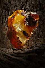 Image showing Beauty of natural raw amber. A piece of yellow opaque natural amber on large piece of dark stoned wood.