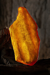 Image showing Beauty of natural raw amber. A piece of yellow opaque natural amber on large piece of dark stoned wood.