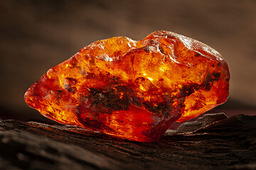 Image showing Beauty of natural raw amber. A piece of yellow-red transparent natural amber on piece of stoned wood