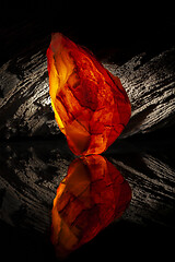 Image showing Beauty of natural raw amber. A piece of yellow-red transparent natural amber on piece of stoned wood