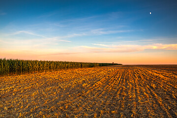 Image showing Lookout tower between corn field and empty field after harvestin