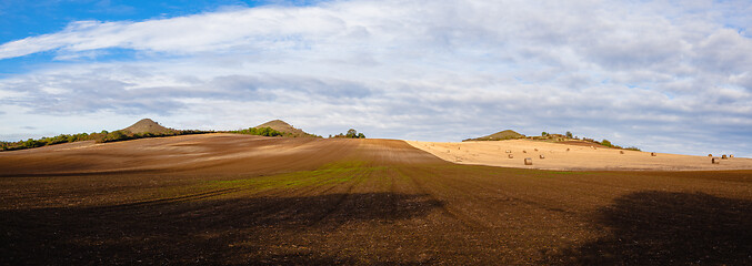 Image showing Bales of straw on a farm field

