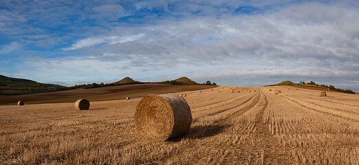 Image showing Bales of straw on a farm field

