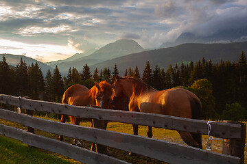 Image showing Two horses and Dachstein mountain and summer valley. Austria