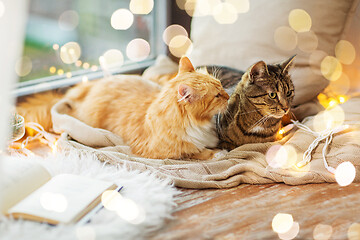 Image showing two cats lying on window sill with blanket at home