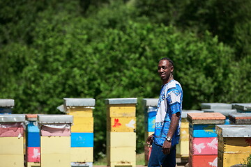 Image showing african beekeeper local black honey producer