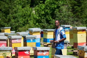 Image showing african beekeeper local black honey producer