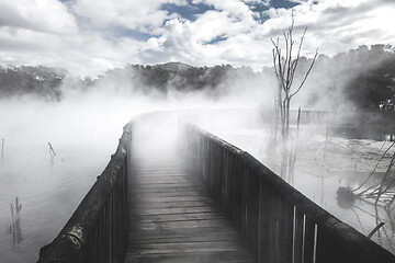 Image showing Bridge on a misty lake in Rotorua, New Zealand